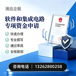 湖北软件和集成电路专项资金申报服务
