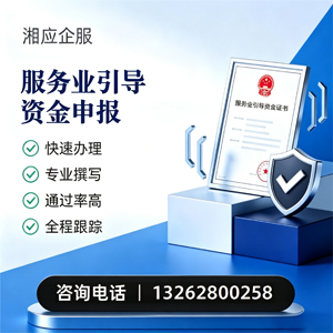 湖北服务业引导资金申报服务