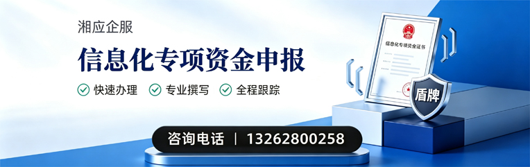 湖北信息化专项资金申报服务