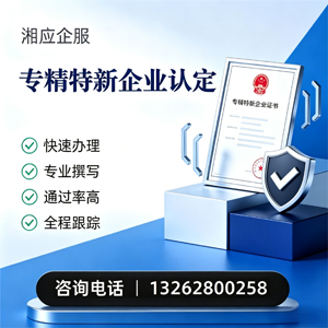 湖北专精特新企业申报服务