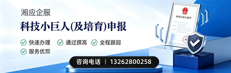 湖北科技小巨人及培育企业申报服务