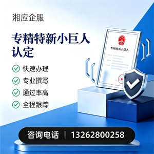 湖北专精特新小巨人申报服务