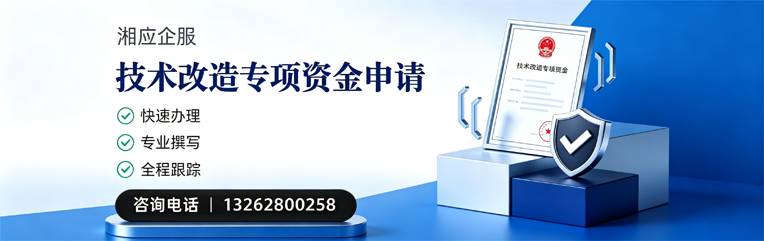 湖北技术改造专项资金申报服务