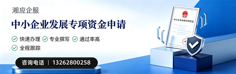 湖北中小企业发展专项资金申报服务
