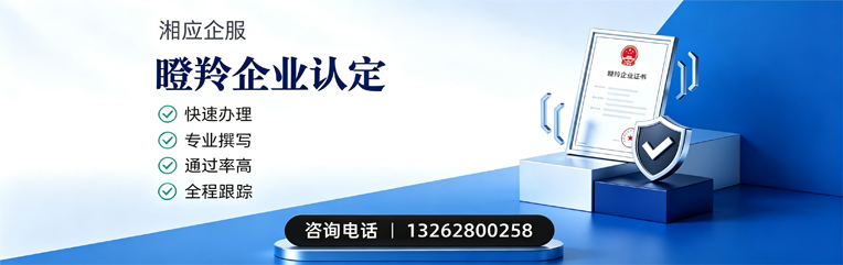 湖北瞪羚企业认定申报服务