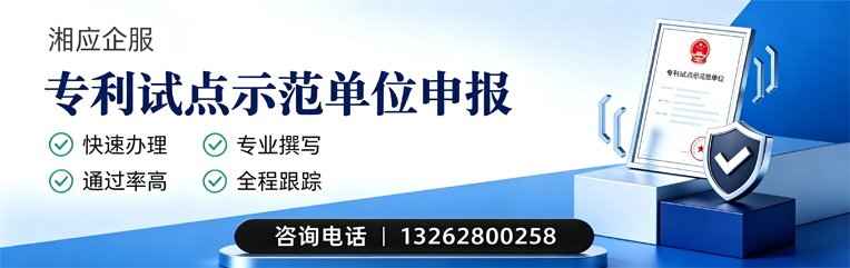 湖北专利试点示范单位申报服务