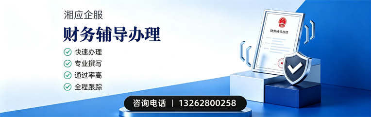 湖北财务辅导申请服务