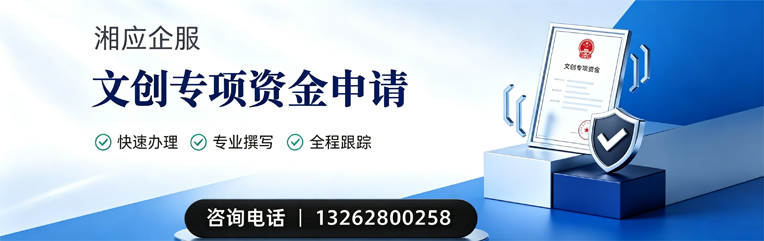 湖北文创专项资金申报服务