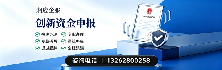 湖北创新资金申报服务