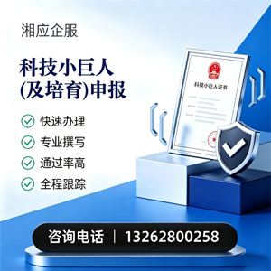 湖北科技小巨人及培育企业申报服务