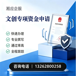 湖北文创专项资金申报服务