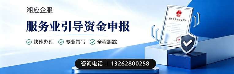 湖北服务业引导资金申报服务
