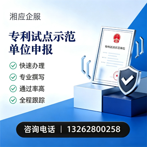 湖北专利试点示范单位申报服务