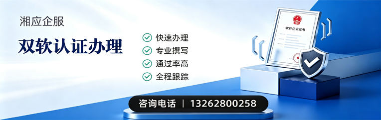 湖北双软认证申报服务