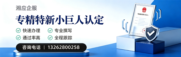 湖北专精特新小巨人申报服务